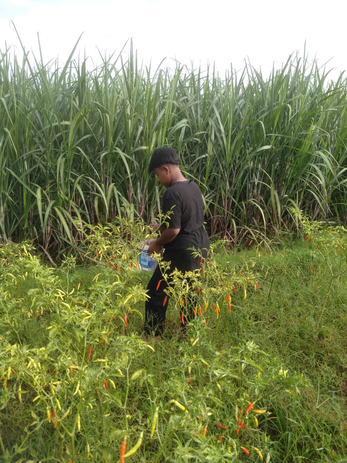 WhatsApp-Image-2025-11-22-at-14.17.50